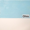 ohio / build you up split 7" eau records