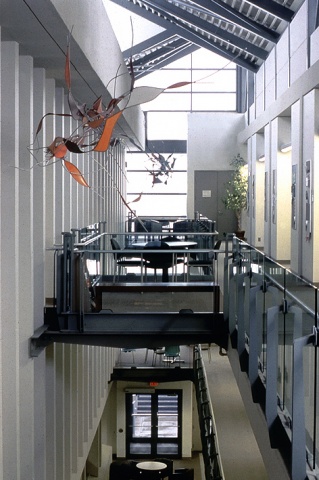 Suspended Flight