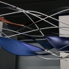 Suspended Flight (Part 2, Detail)