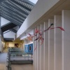 Suspended Flight (Part 1)