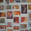 Close Up Postcard Wall