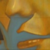 2009