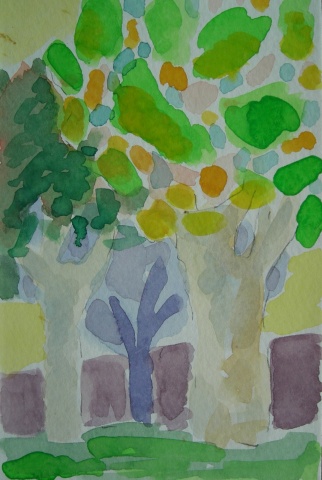 Plane Trees