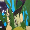 Nature of Wilderness