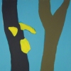 Branches