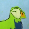 Puffins for a Lady
