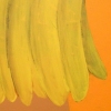 Banana Model