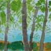 Northwoods