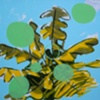 2008