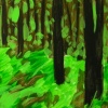 Northwoods