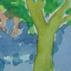Plane Trees