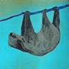 Sloth