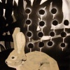 Rabbit Hole