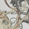 Untitled, detail
