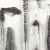 Grey group
