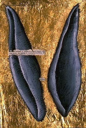 Dictionary Series:  Midas is an Ass