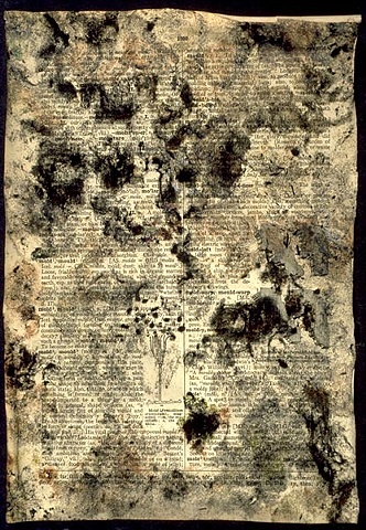Dictionary Series: Black Mold
