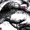Dictionary Series: Bird Brains