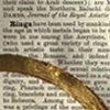 Dictionary Series:  Ring