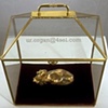 ur.organ@4sel.com