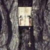 Stigmata