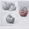 TOMATO PORTRAITS