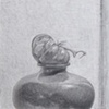 TOMATO ON URN