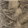 PINE TREE & POISON IVY