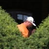 Hedge