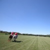 300 yards x 160 wide
