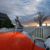 Packard Sunrise
