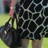  Big Animal Prints