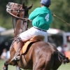 Giddy up