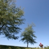 Blue Sky