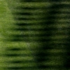 Afternoon Shadows