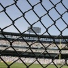 The Cell