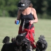 Poodles