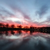 Reflections