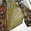 Chicken Skin