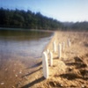 Soft/Girls, Tomales Bay 2007