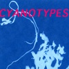 Cyanotypes