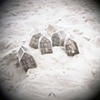 Soft/Houses, Davis Park 2010