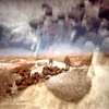 In the Petrified Forest, 2008