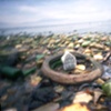 Soft/House, Dead Horse Bay 2010 (4)