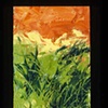 Dune Grasses