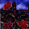 red vinca