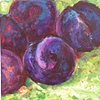 Small Plums