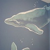 large whale on corner of room