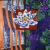 Water Lily with French shutters