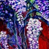 wisteria in Old Town